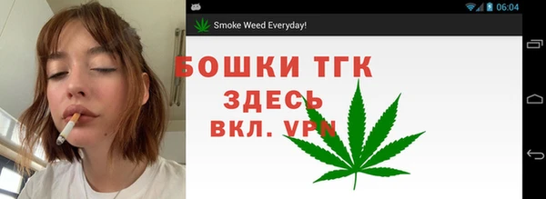 СК Аркадак